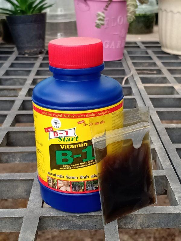 Orchid Rooting Vitamin B1: Plant Root Booster (100 ml.)